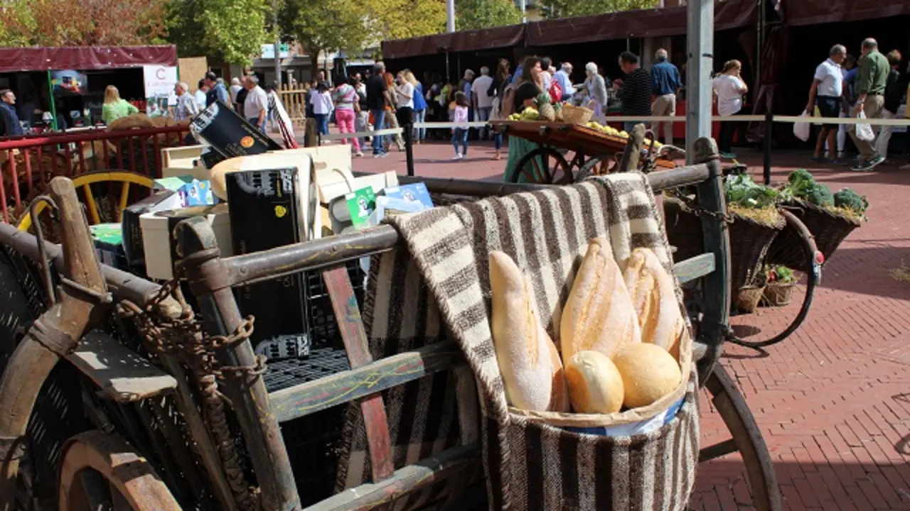 II Feria de Productos de la Tierra y Gremios Artesanales en Medina del Campo | Valladolid Plural