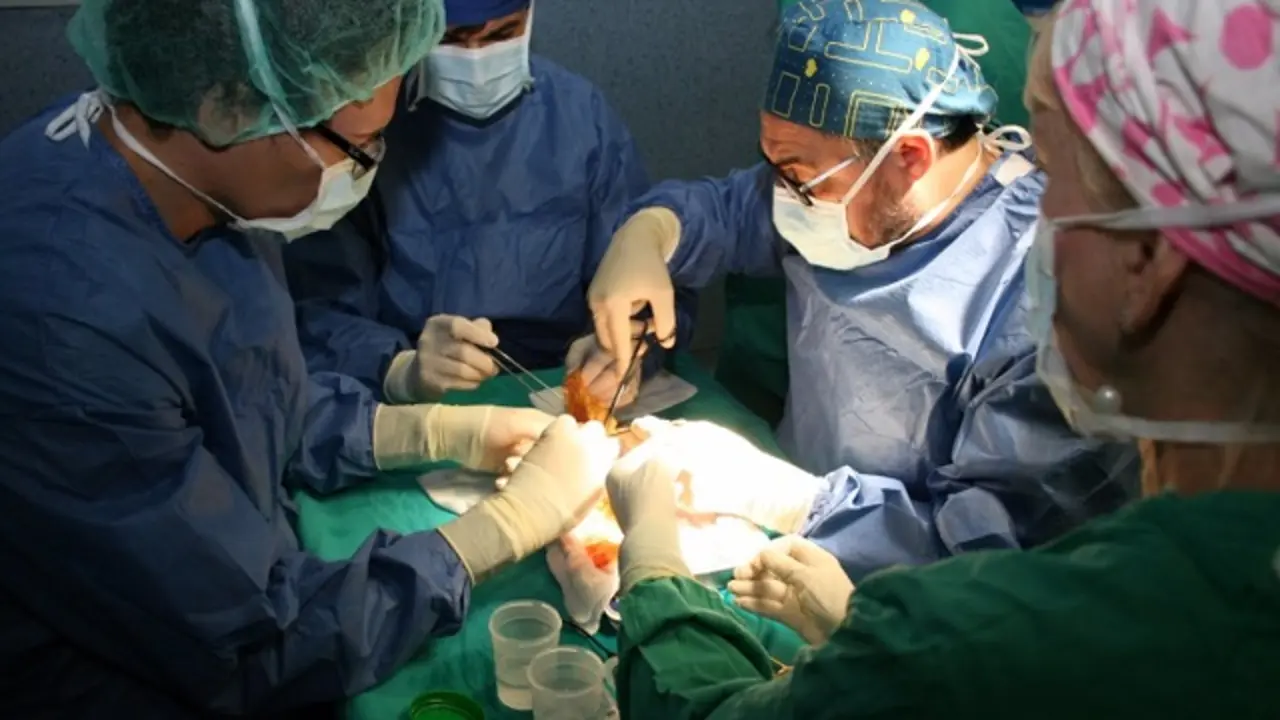 09-03-2022 Trasplante renal en el Peset
COMUNIDAD VALENCIANA ESPA&Ntilde;A EUROPA VALENCIA SALUD
GVA