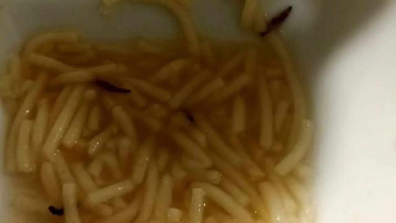 Gusanos en la sopa de men&uacute; servido en la cafeter&iacute;a del Hospital de Le&oacute;n