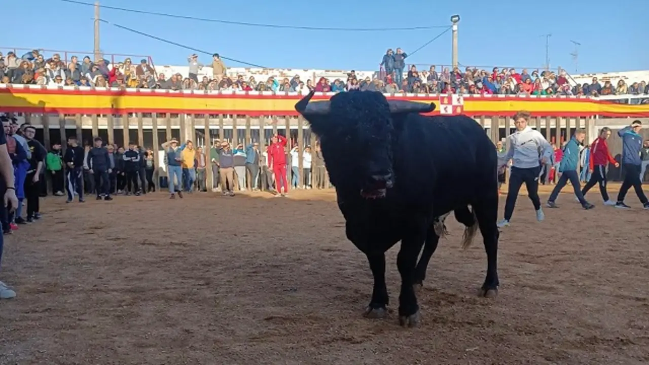Fuente: Sentir Taurino