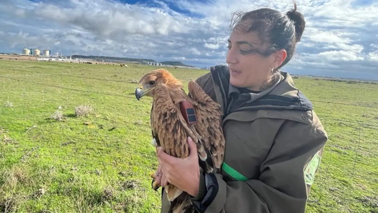 Fuente: Naturalezacyl