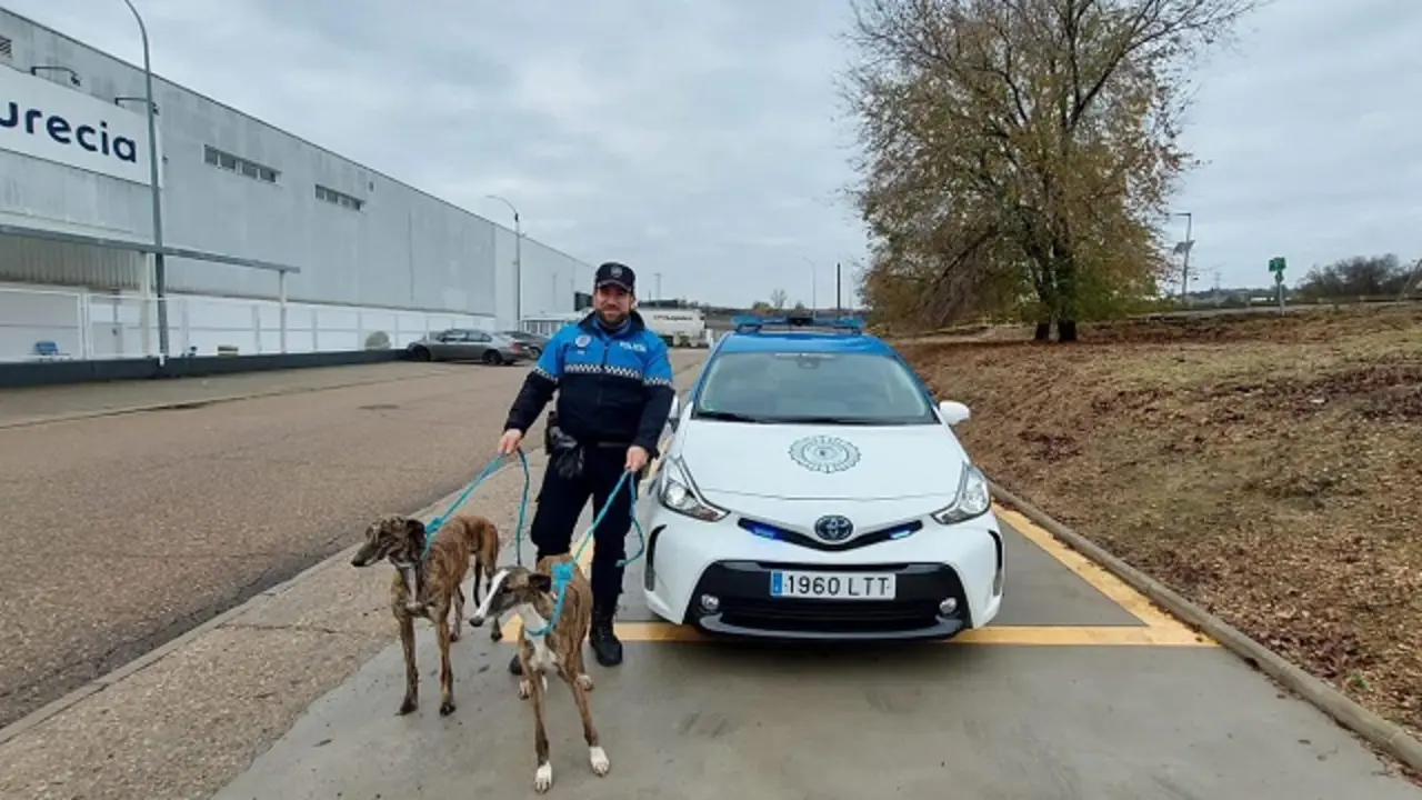 Fuente: Polic&iacute;a Municipal de Valladolid