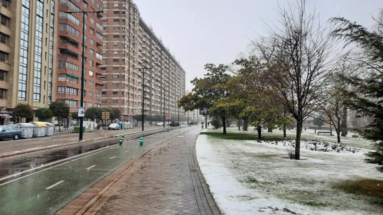 La nieve cubre las inmediaciones del Paseo Isabel La Cat&oacute;lica | Valladolid Plural