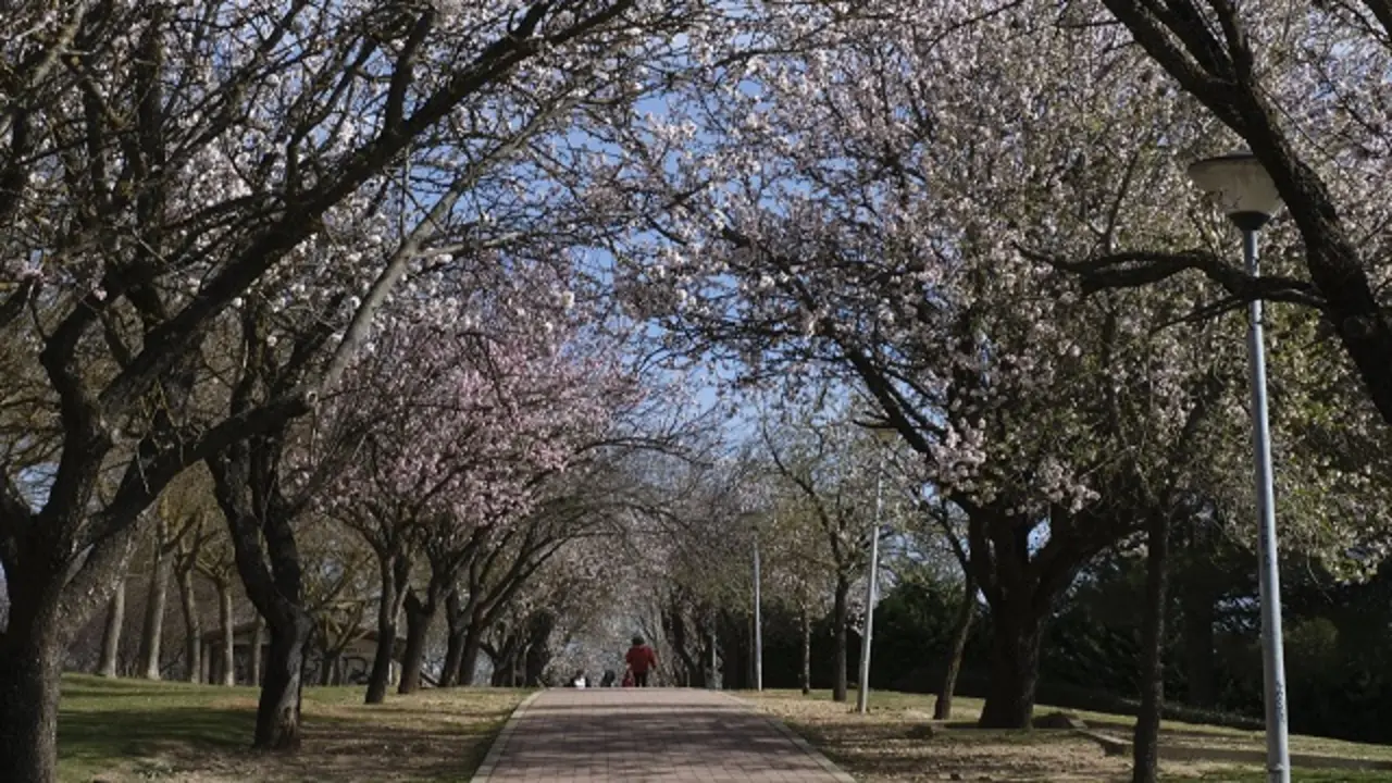 Fuente: Turismo Valladolid