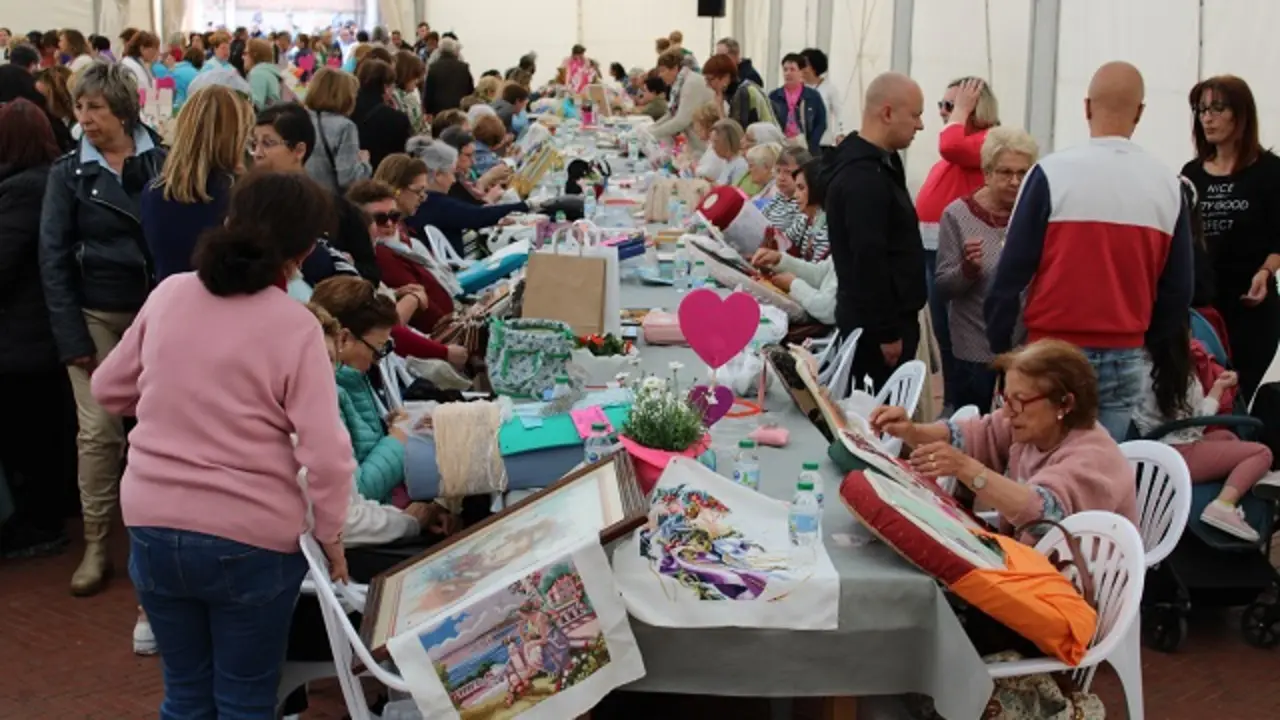 Trabajos durante la Feria de Multilabores de Medina del Campo | Valladolid Plural