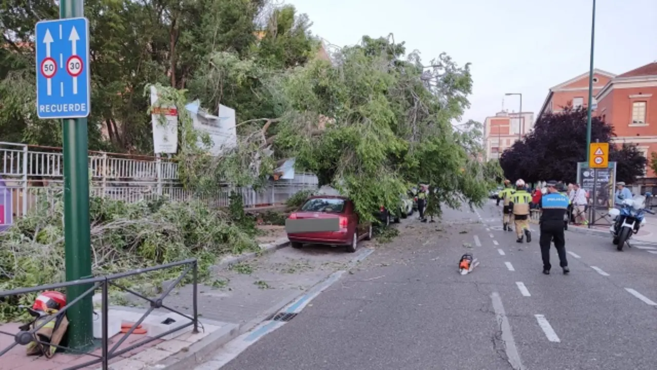 Fuente: Polic&iacute;a Municipal de Valladolid