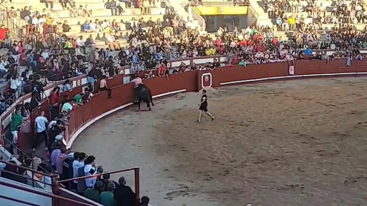 Fuente: Toros a corte limpio