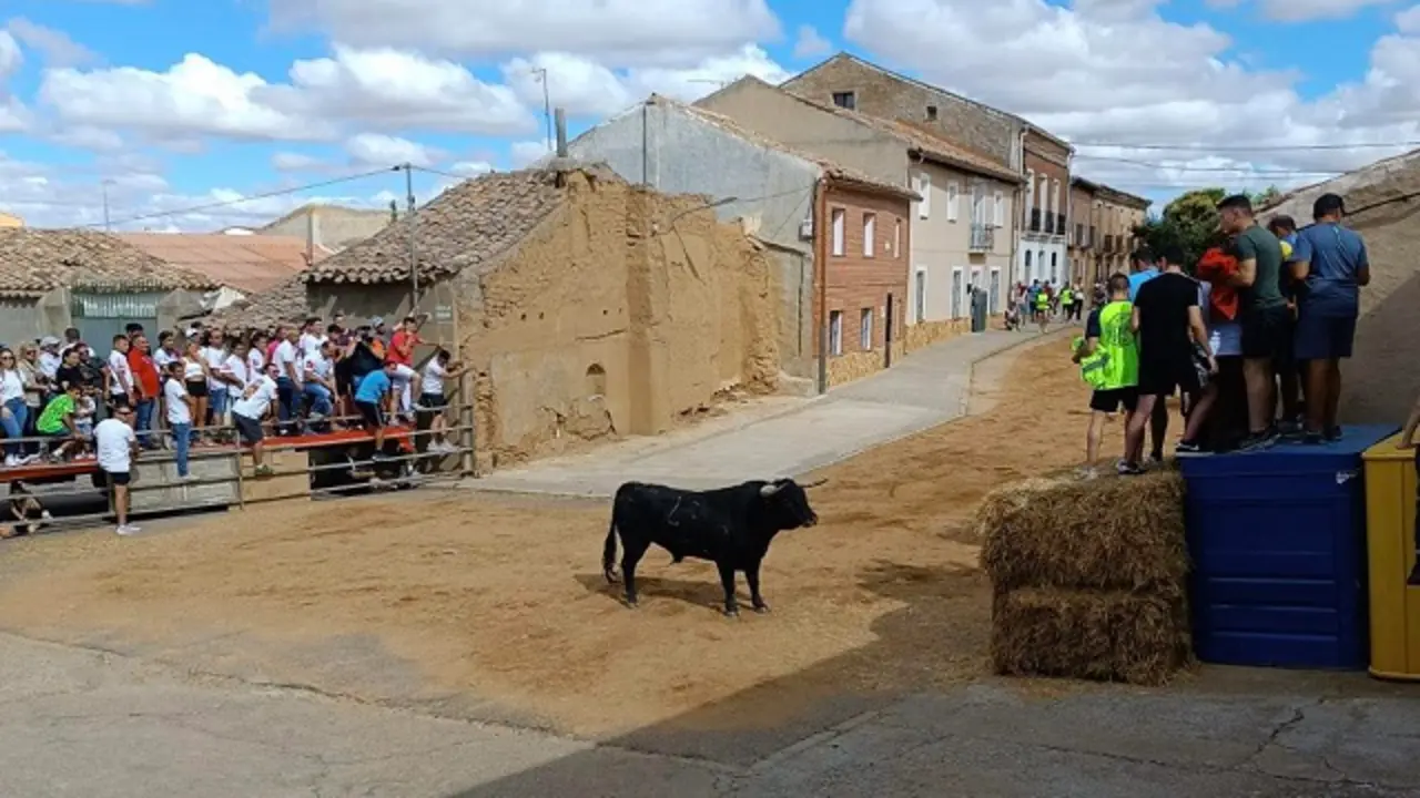 Fuente: Sentir Taurino