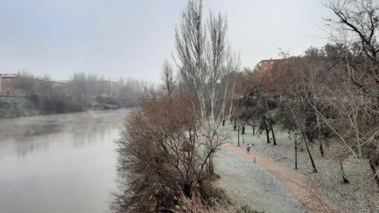 Cencellada en las orillas del río Pisuerga | Valladolid Plural