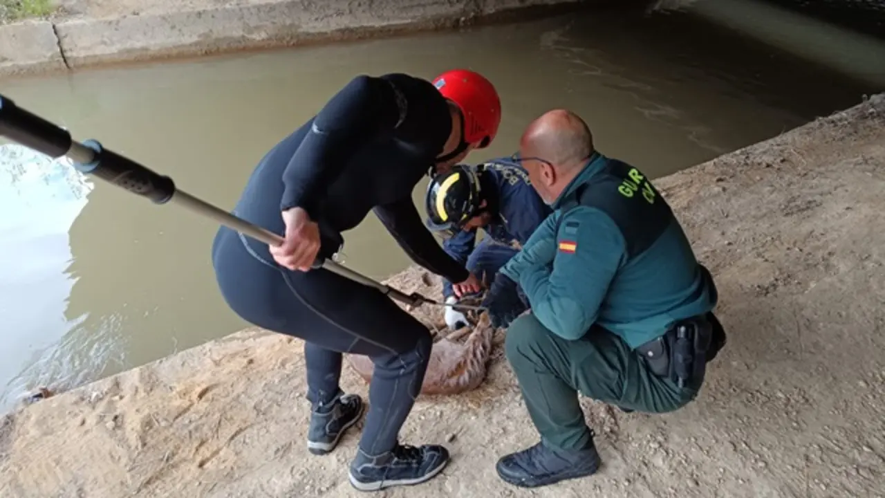 Fuente: Bomberos Diputaci&oacute;n de Valladolid