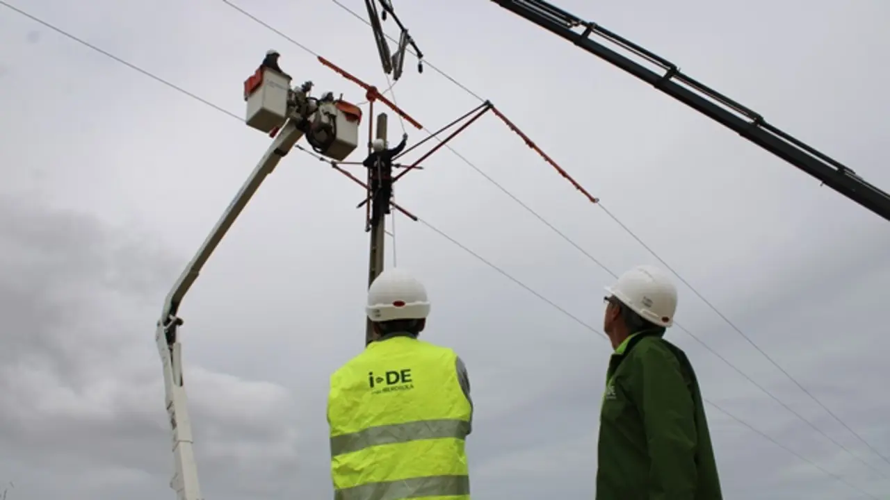 Iberdrola instala crucetas aislantes en líneas eléctricas de Olmedo | Valladolid Plural