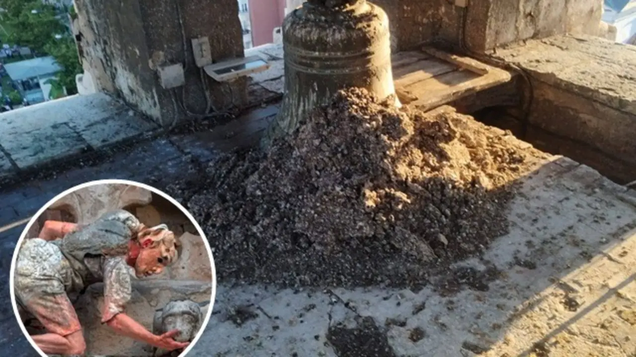 Fuente: L&eacute;zards Bleus