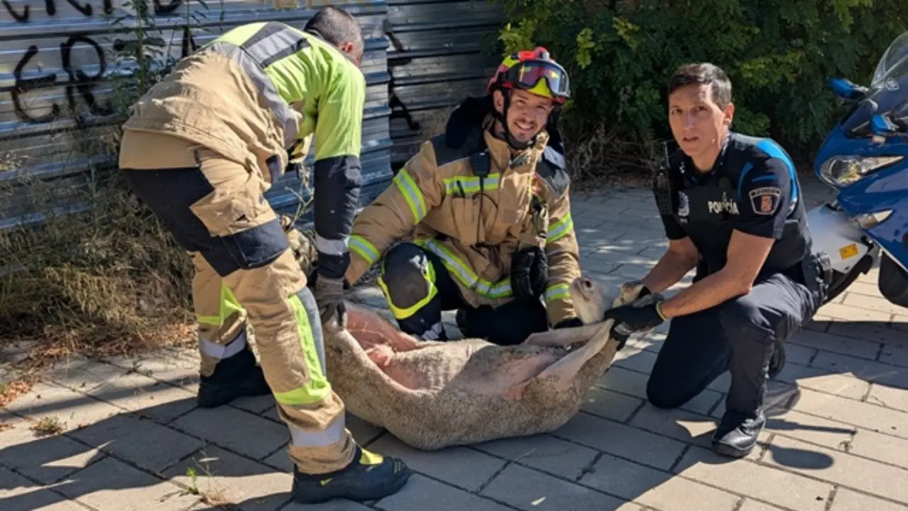 Fuente: Polic&iacute;a Municipal