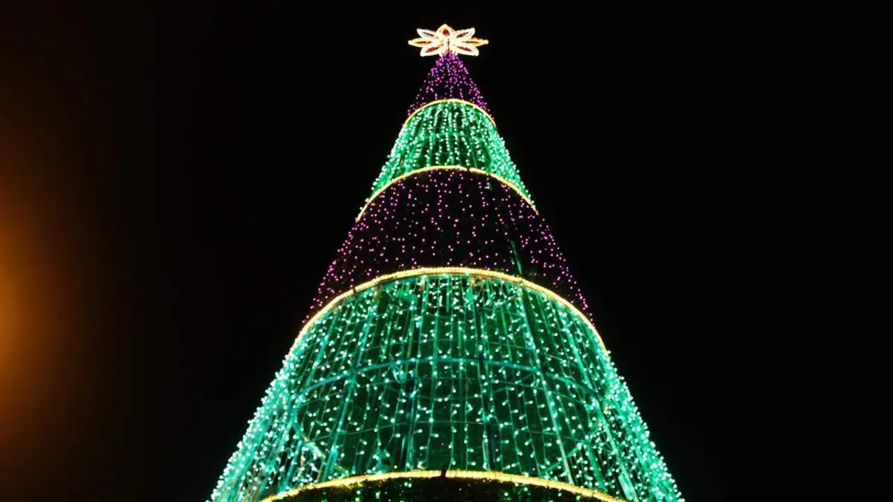 Encendido luces y arbol de Navidad La Cisterniga 2025 (11)