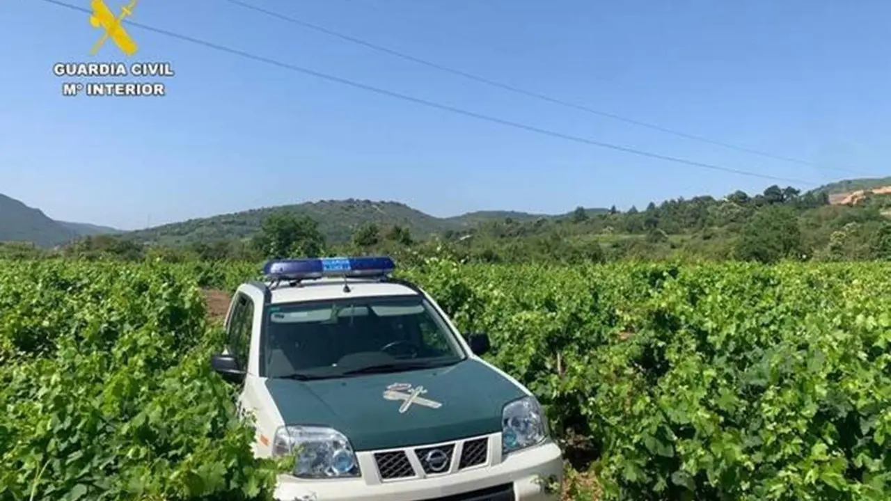 Coche Guardia Civil vinedos robos sucesos provincia Valladolid