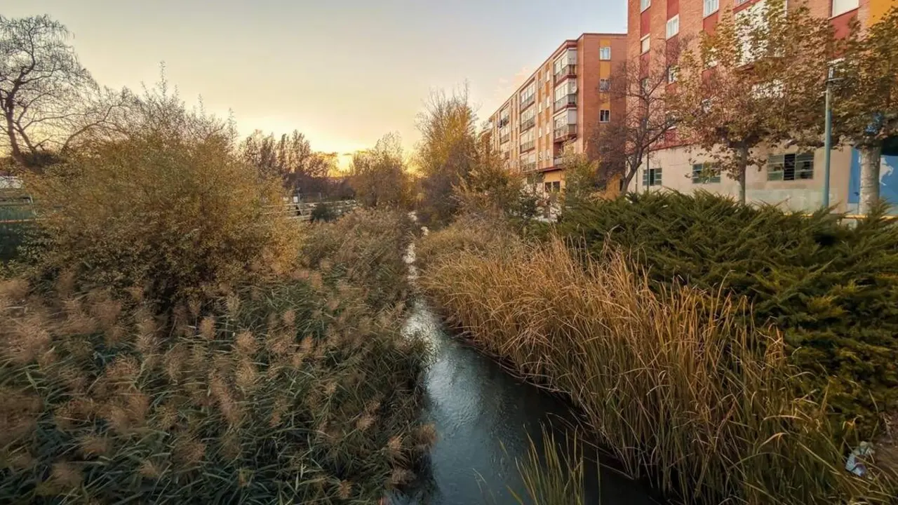 Cauce rio Esgueva Valladolid obras restauracion ambiental Aquavall