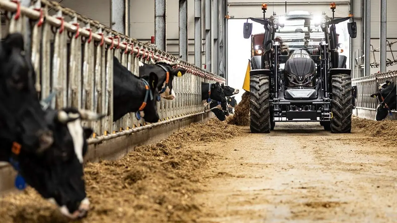 Granja vacas finca explotacion ganadera tractor provincia Valladolid