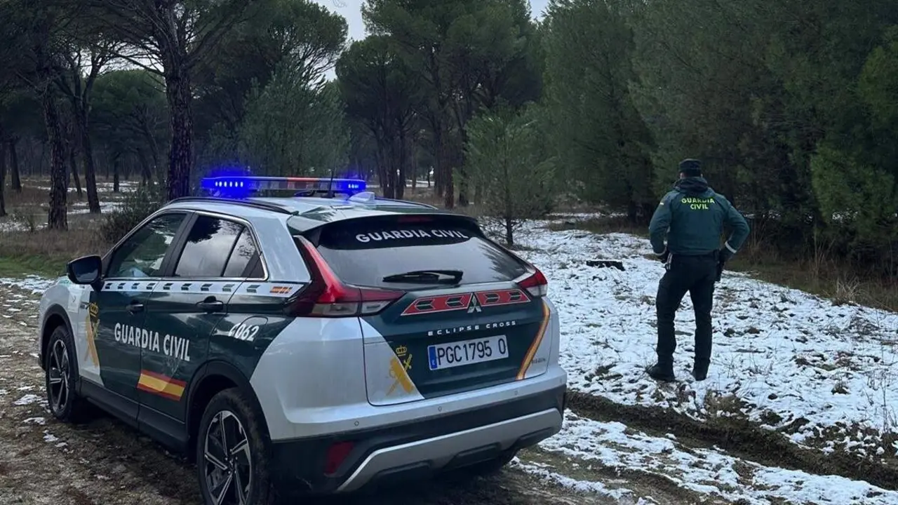 Intervencion Guardia Civil Valladolid pinar tala y robo Hornillos de Eresma