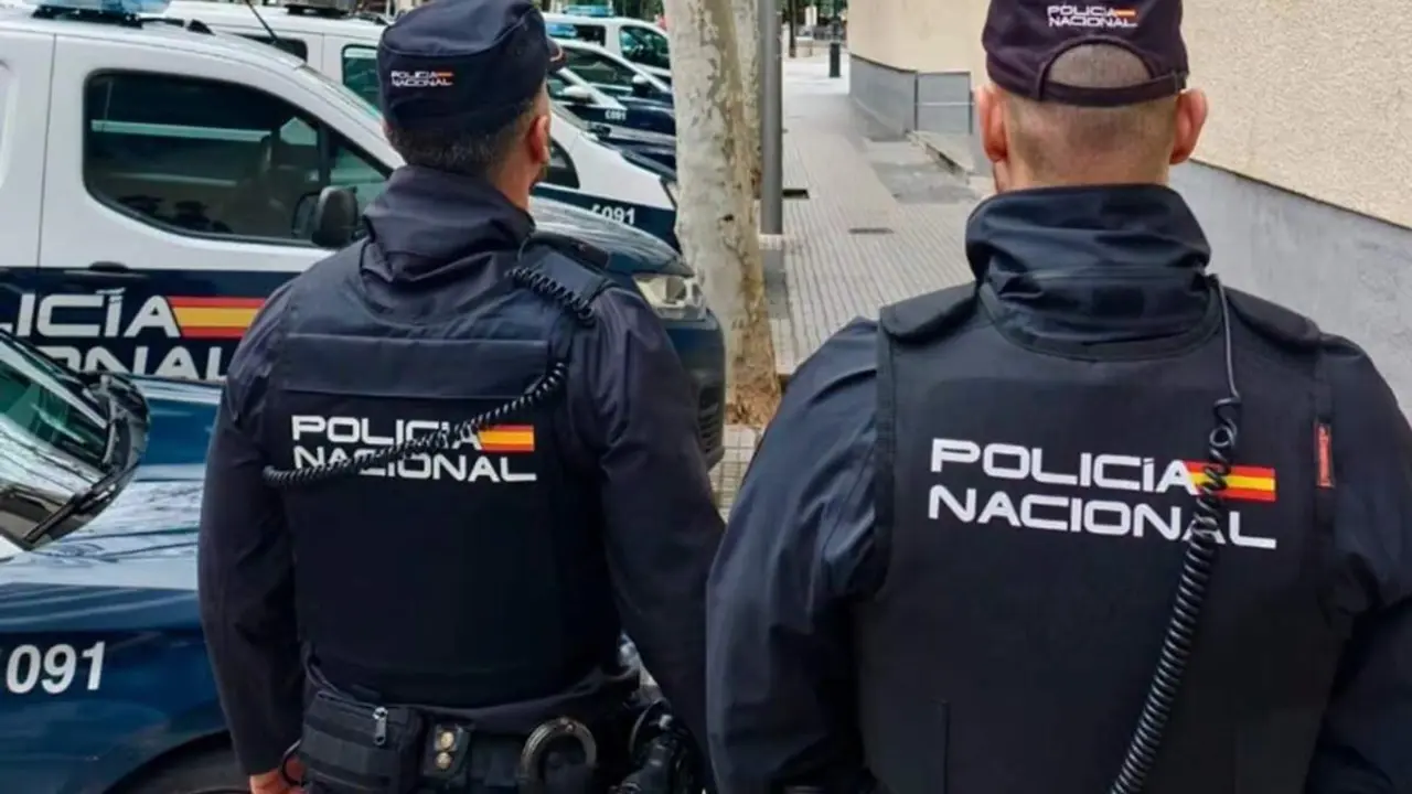 Agentes de la Policia Nacional hombres coches patrulla via publica Valladolid