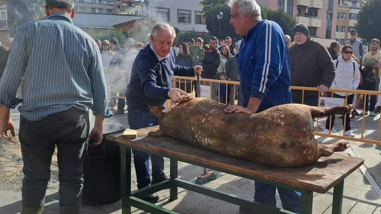 Polemica Jornada Matanza Laguna de Duero criticas PACMA