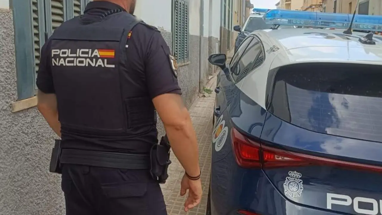 Policia Nacional agente y coche patrulla detenciones pelea trifulca sucesos Valladolid