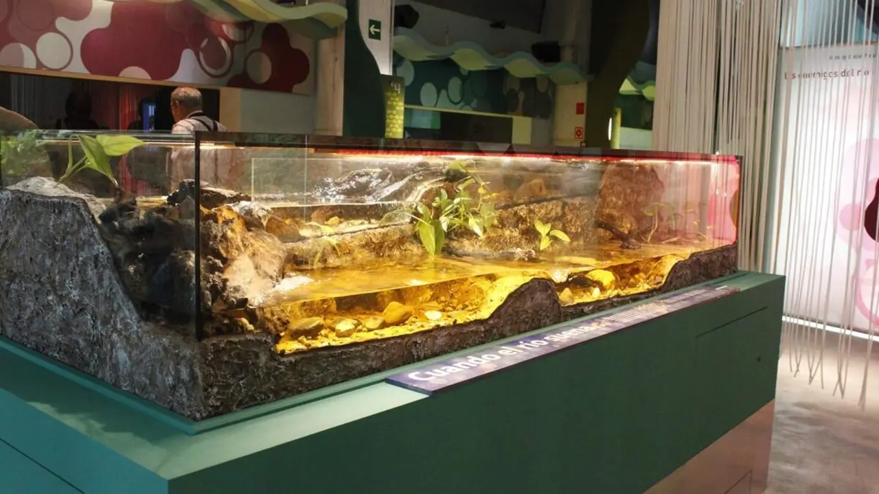 Casa del rio Museo de la Ciencia exposiciones Valladolid