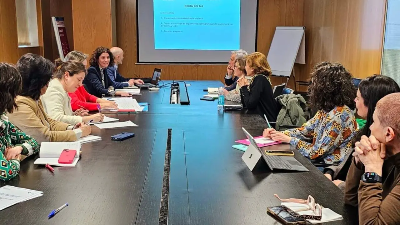 Reunion Grupo cribados de cancer de Castilla y Leon seguimiento programas jcyl