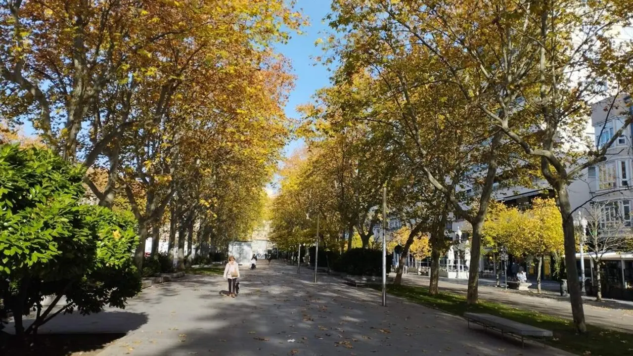 Acera Recoletos tiempo primavera ciudad centro Valladolid