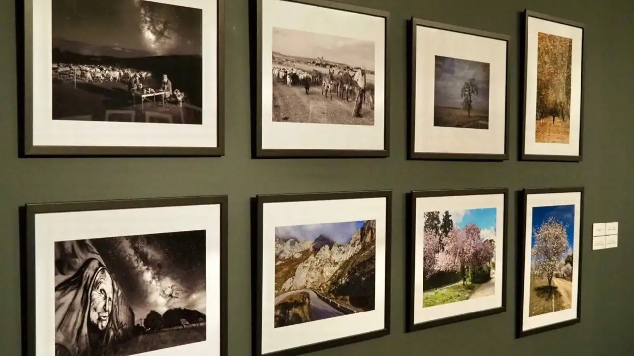 Exposicion Miradas diferentes Agenda cultural Valladolid