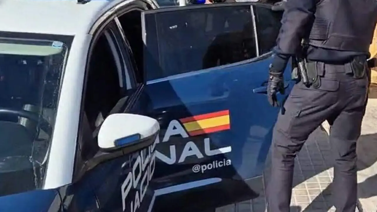 Detencion hombre altercado Valladolid agentes Policia Nacional y coche patrulla