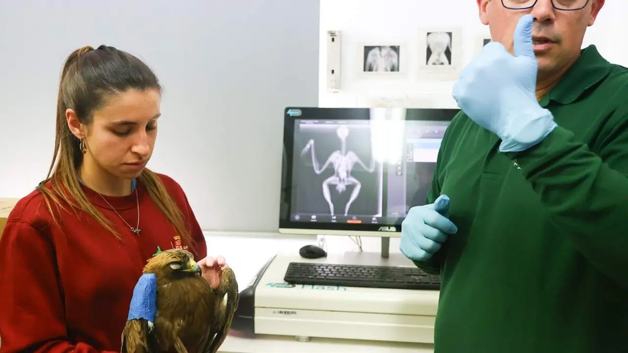 Visita Centro de Recuperacion de Animales Silvestres Valladolid jcyl aves