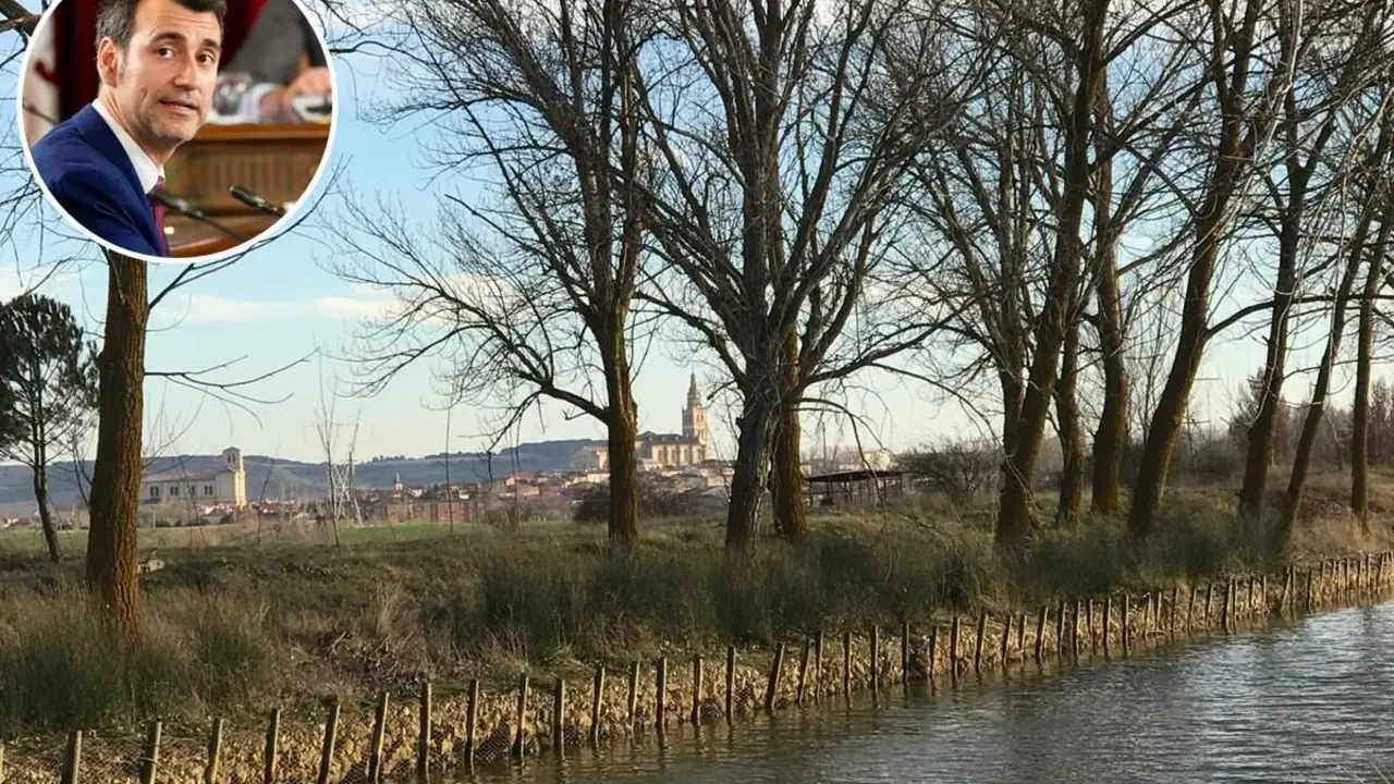 Tala arboles CHD Canal de Castilla mocion Diputacion David Esteban Rioseco