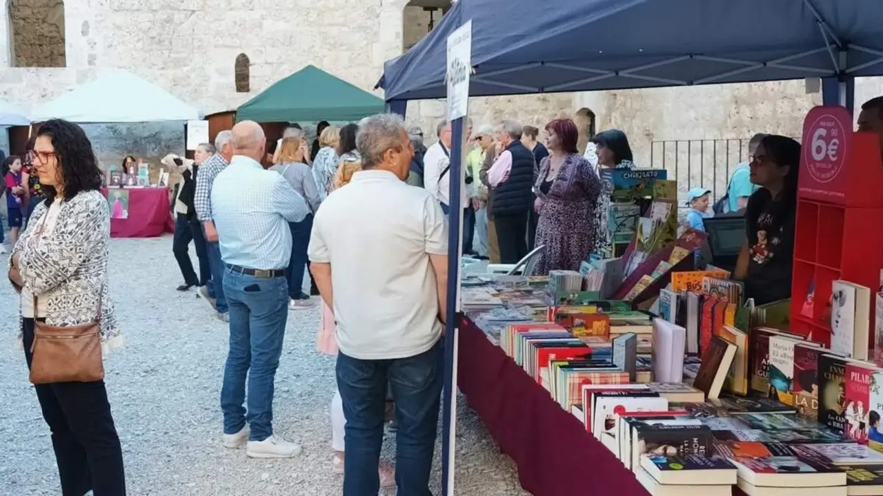 Feria del Libro de Portillo expositores y visitantes cita literaria