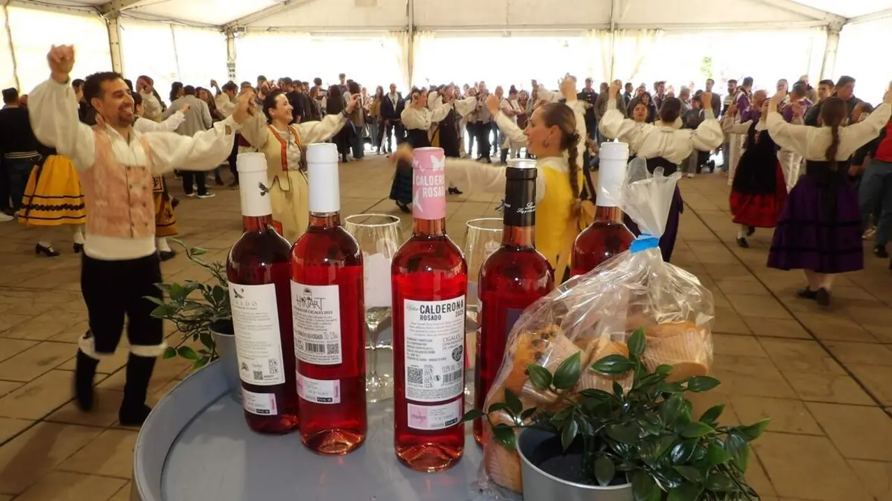 Celebracion Fiesta de la Primavera vinos y folclore Santovenia de Pisuerga 2026 (17)
