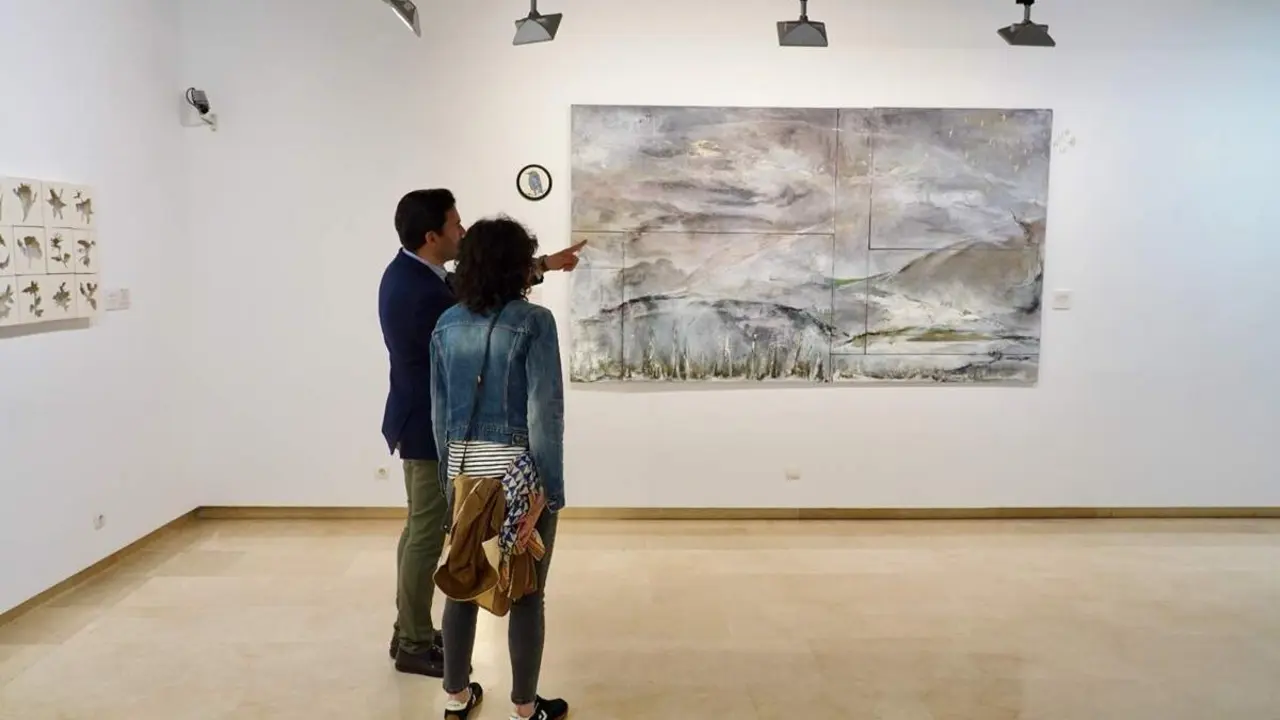 Nueva exposicion Julia Gallego Sala Teresa Ortega Coca Diputacion Valladolid