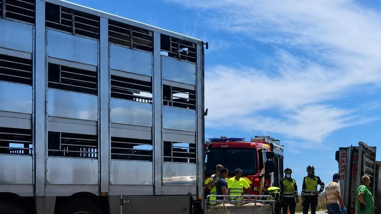Vuelco camion cerdos N-601 Medina de Rioseco Bomberos Diputacion