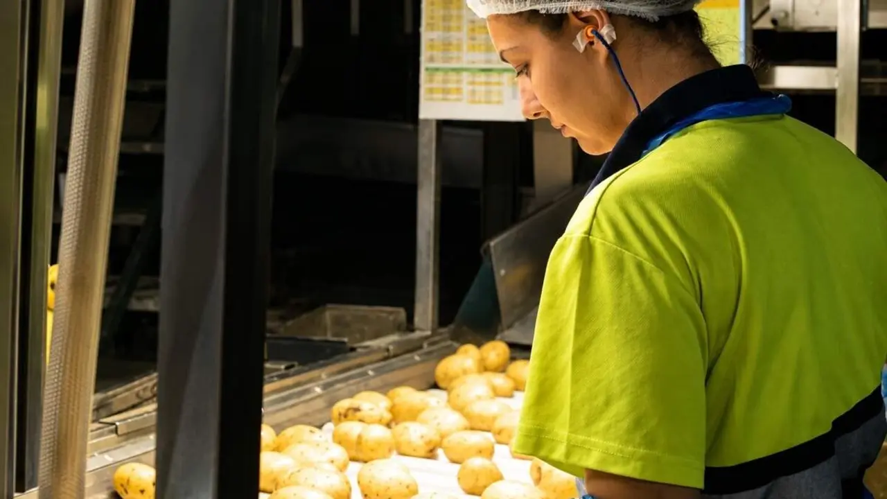 Operaria fabrica patatas empleo ofertas Valladolid