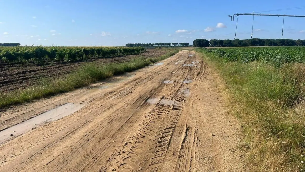 Caminos rurales provincia Valladolid labores agricolas pueblos