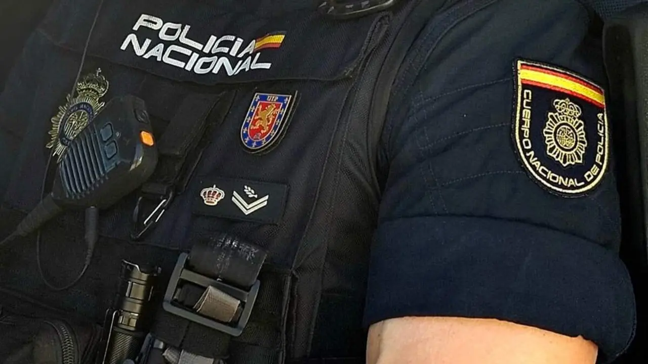 Agente Cuerpo Nacional de Policia investigacion sucesos detencion