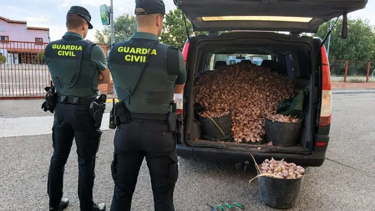 Robo agricultor ajos zona Penafiel Guardia Civil