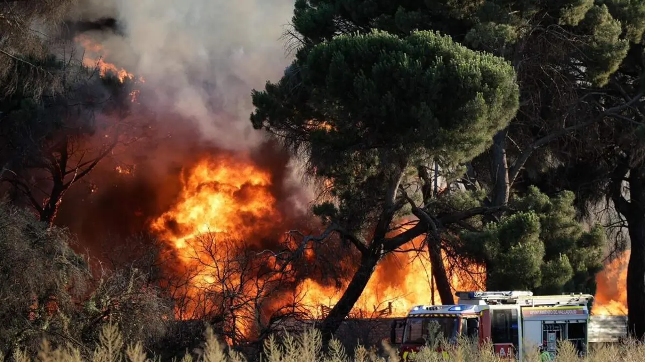 Labores extincion incendio fabrica pales junto Colegio San Agustin Bomberos Valladolid