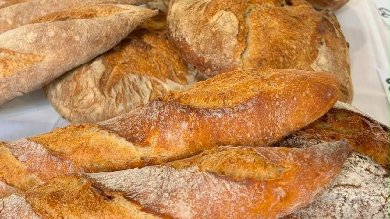 Pan artesano concurso 50 Panaderos Top Valladolid