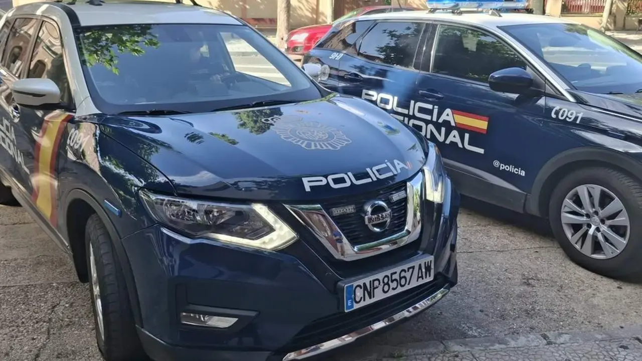 Dos coches patrulla de la Policia Nacional de Valladolid via publica intervencion