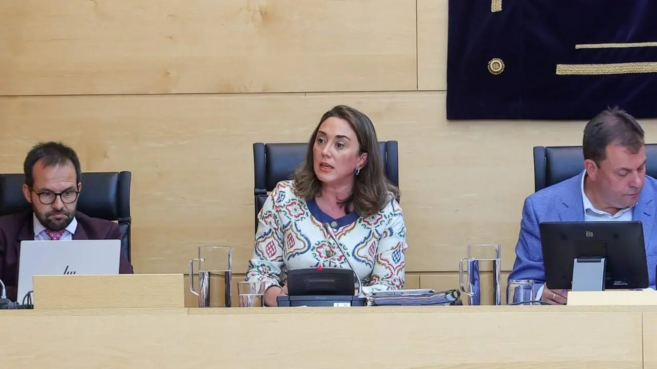 Comparecencia inicio legislatura nueva consejera Medio Ambiente y Energia Maria Gonzalez Corral jcyl