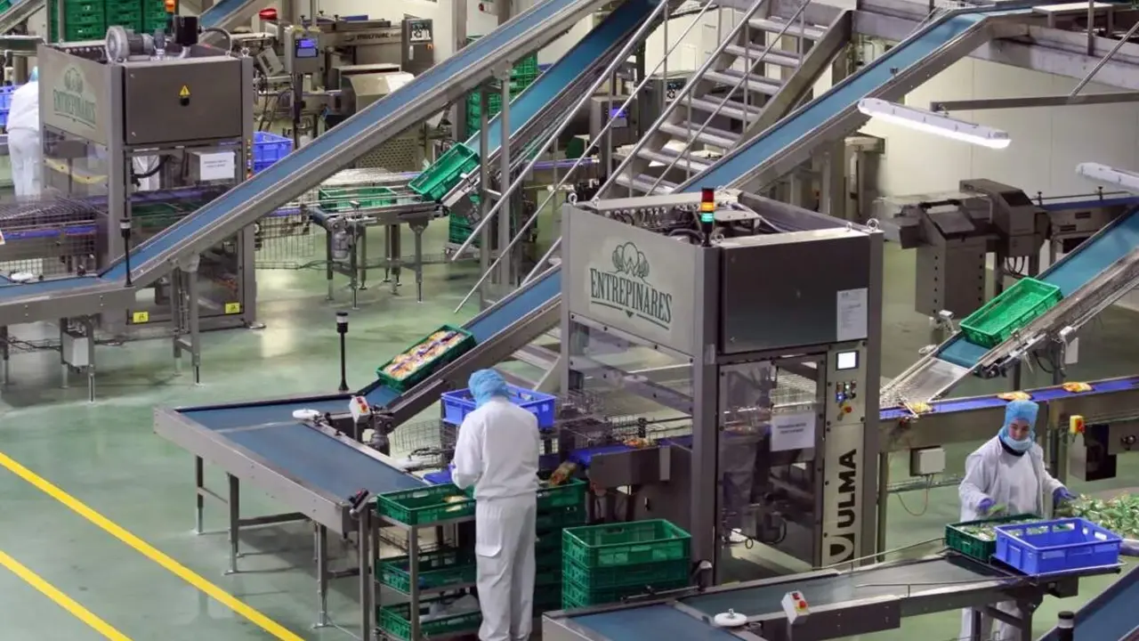 Queseria Entrepinares maquinas y trabajadores empleo ofertas Valladolid