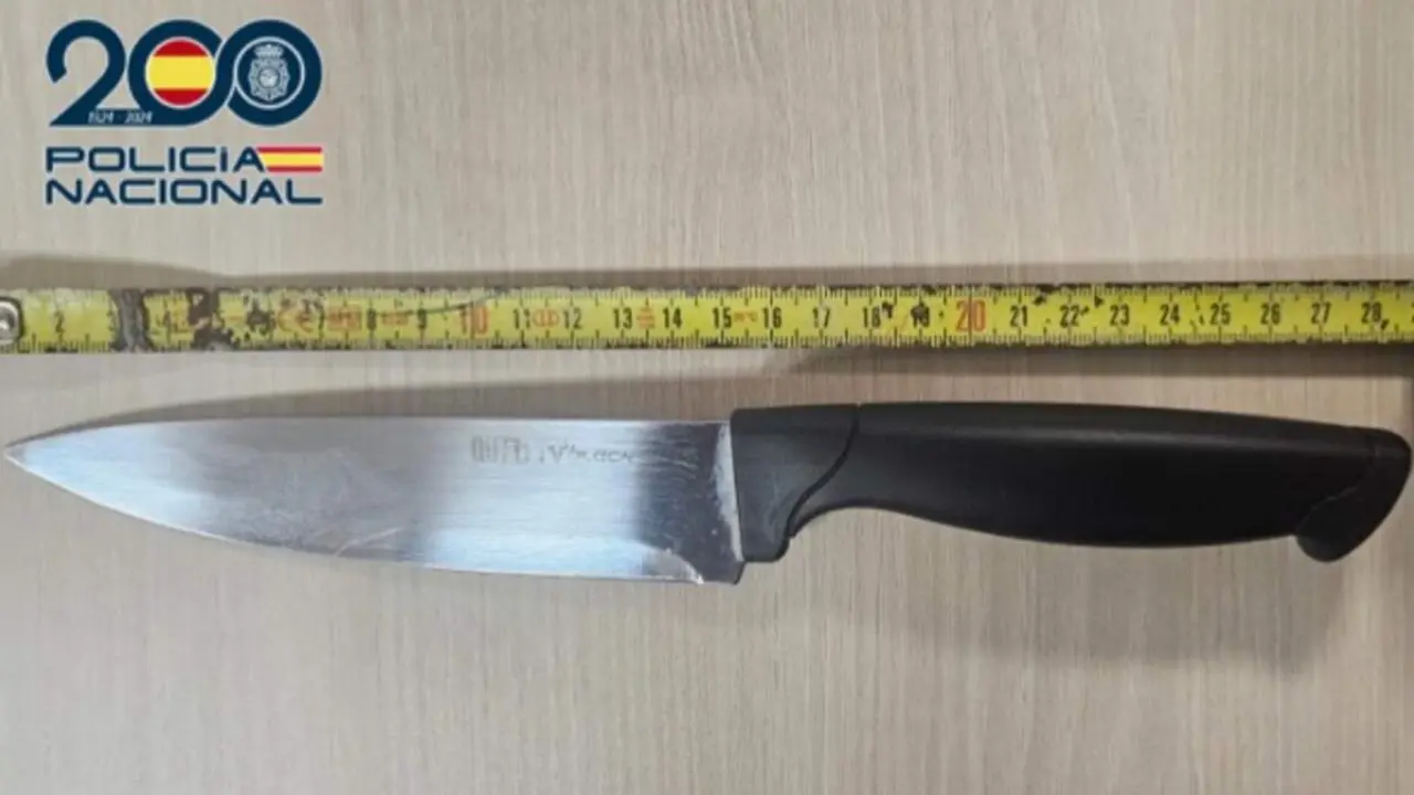 Amenazas cuchillo grandes dimensiones companeros piso Las Delicias sucesos Valladolid