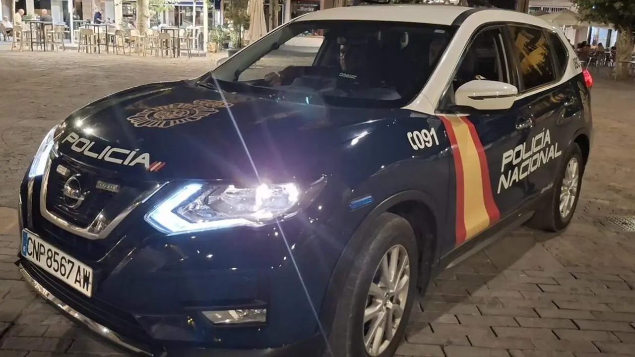 Policia Nacional coche patrulla agentes intervencion noche zona ocio ciudad Valladolid