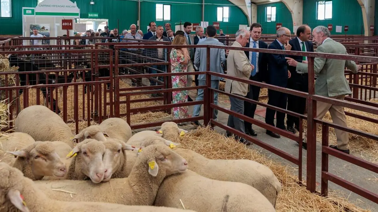 Inauguracion Salamaq26 visita Alfonso Fernandez Manueco agricultores ganaderos jcyl