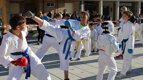 Semana Cultural y Deportiva de La Cistérniga (10/13) | Valladolid Plural