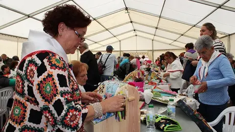 Trabajos durante la Feria de Multilabores de Medina del Campo (01/12) | Valladolid Plural